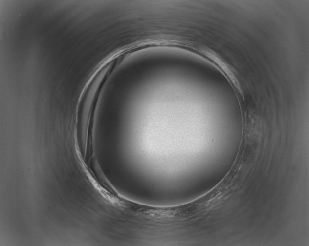 X0000084550861200702231203