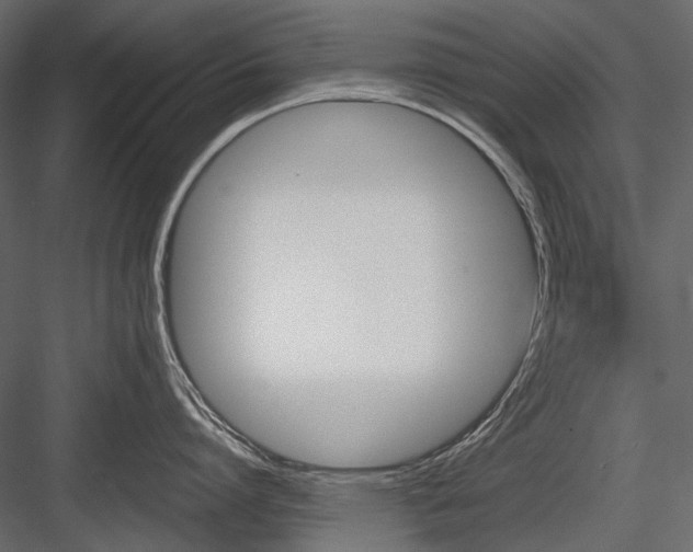 X0000084550864200702231203