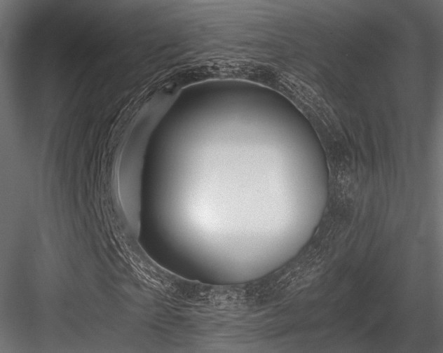 X0000084550865200702231202