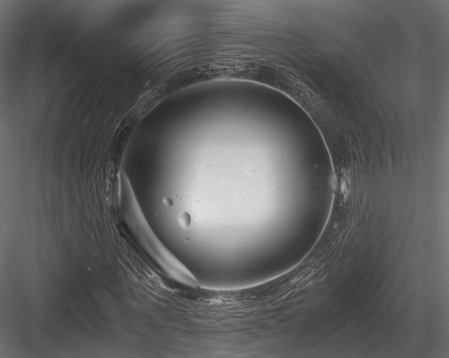 X0000084550867200702231202