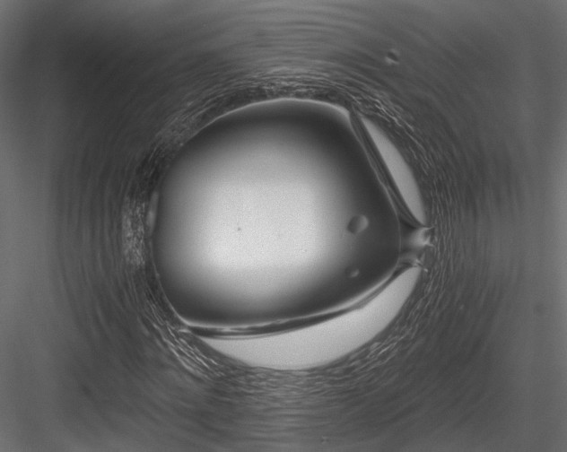 X0000084550868200702231202