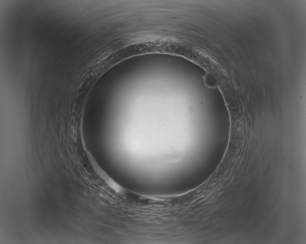 X0000084550869200702231202