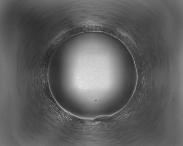 X0000084550870200702231202