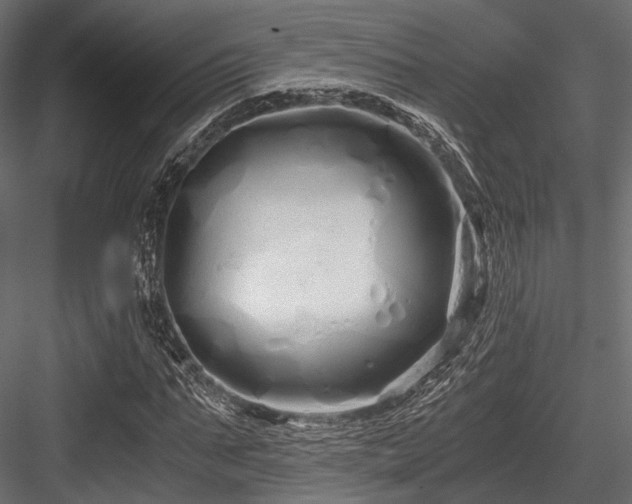 X0000084550871200702231202