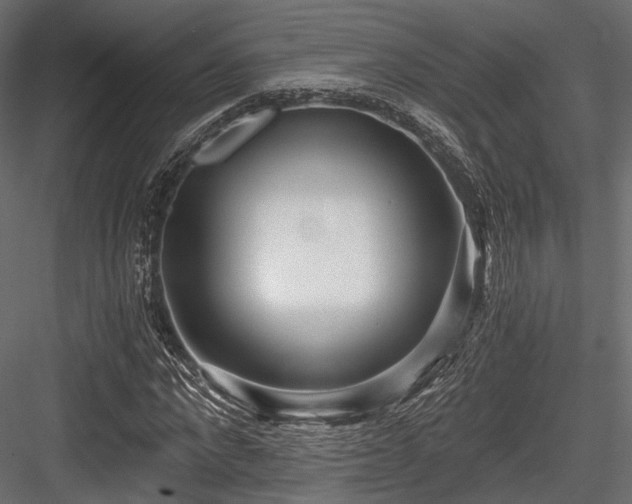 X0000084550872200702231202