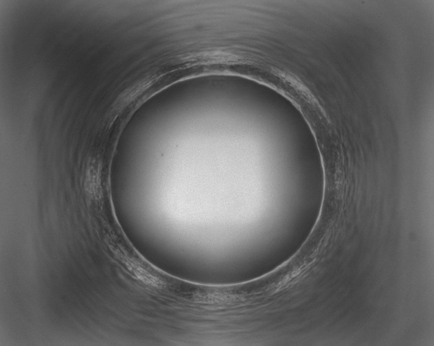 X0000084550873200702231202
