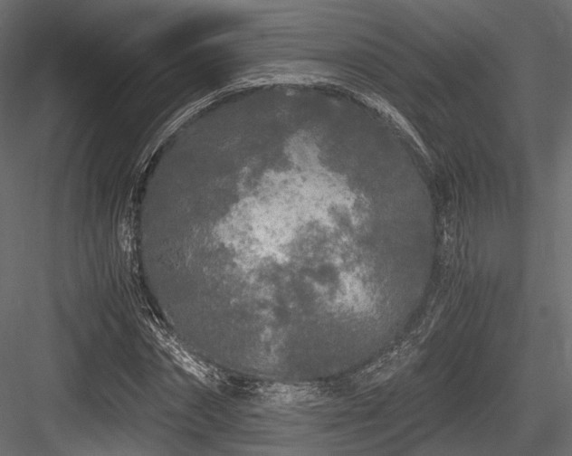 X0000084550874200702231202