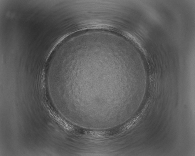X0000084550875200702231202