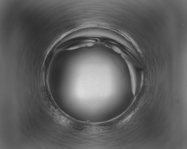 X0000084550877200702231202