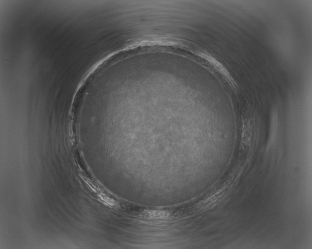 X0000084550878200702231202