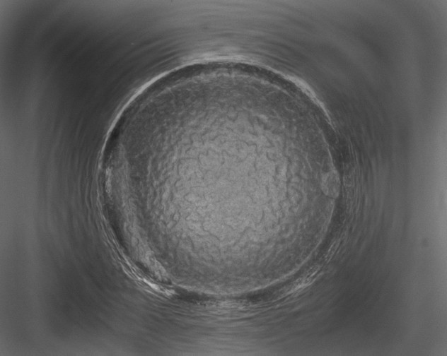 X0000084550879200702231202