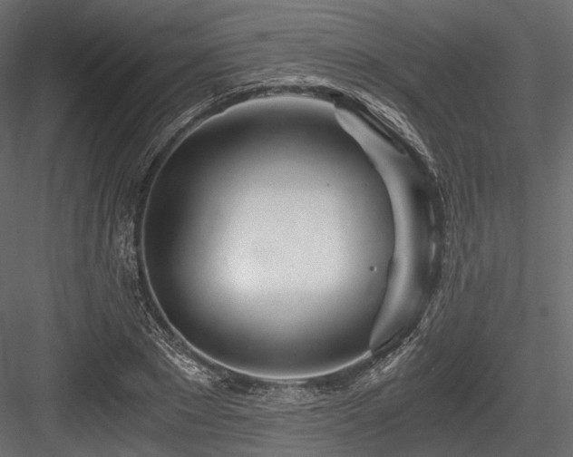 X0000084550881200702231202