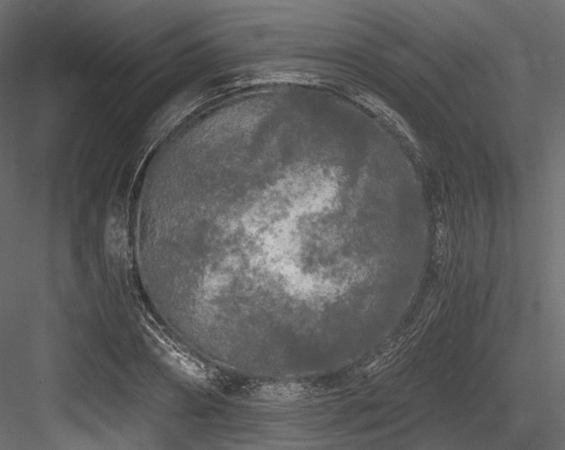X0000084550882200702231202