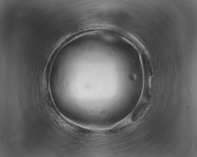 X0000084550883200702231202