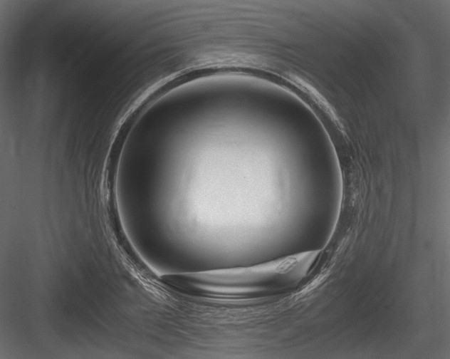 X0000084550885200702231202