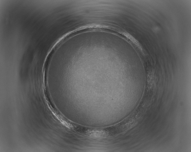 X0000084550886200702231202