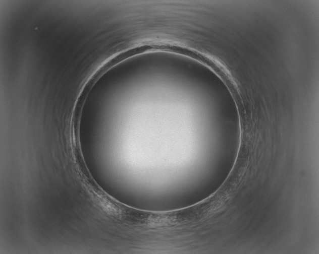 X0000084550887200702231202