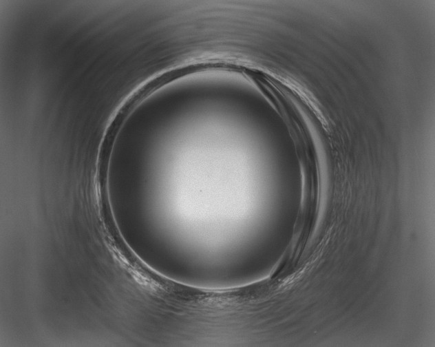 X0000084550888200702231202