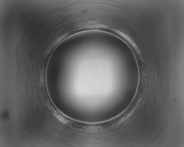X0000084550889200702231202