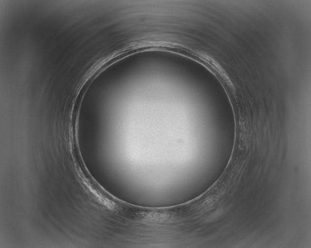 X0000084550890200702231202