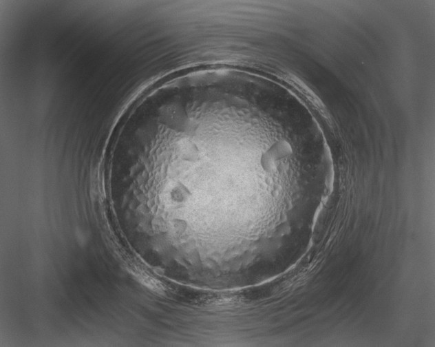 X0000084550891200702231202