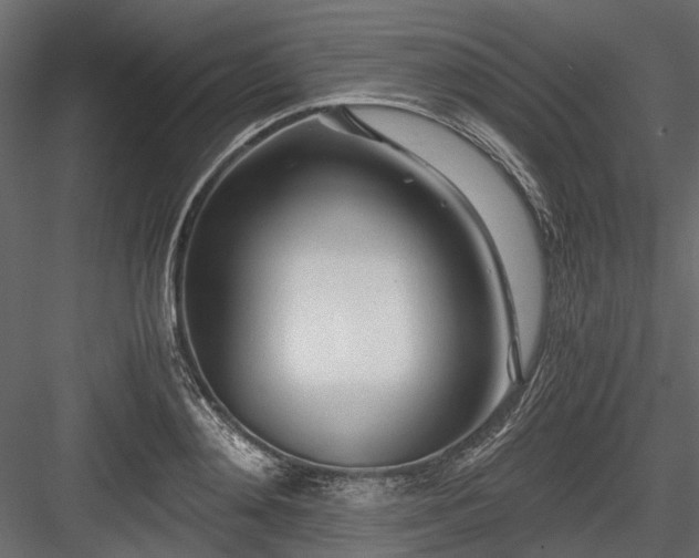 X0000084550892200702231202