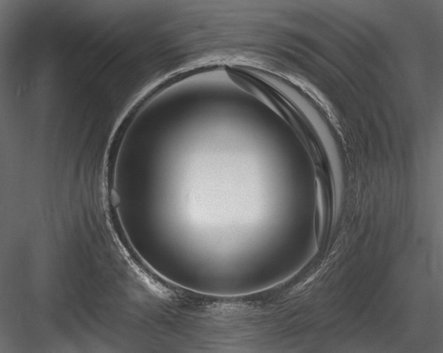 X0000084550894200702231202