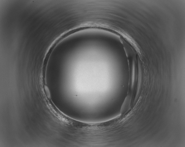 X0000084550896200702231202