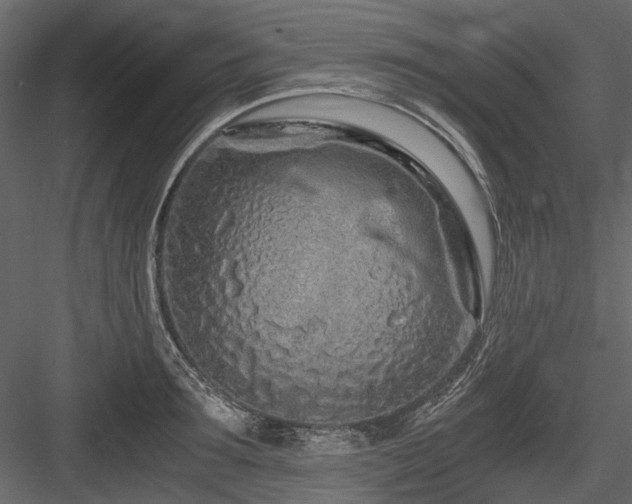 X0000084550899200702231202