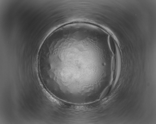 X0000084550903200702231201
