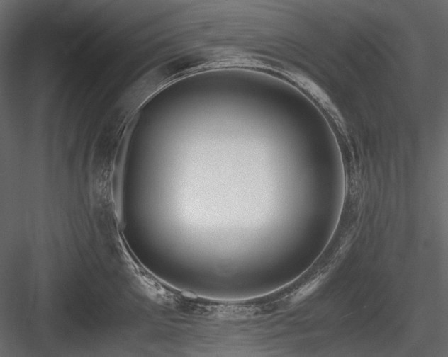 X0000084550905200702231201