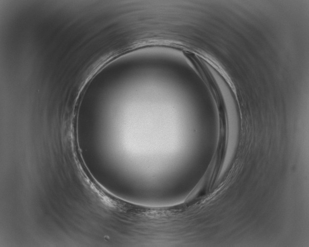 X0000084550906200702231201