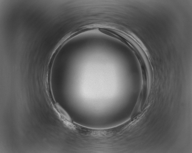 X0000084550909200702231201