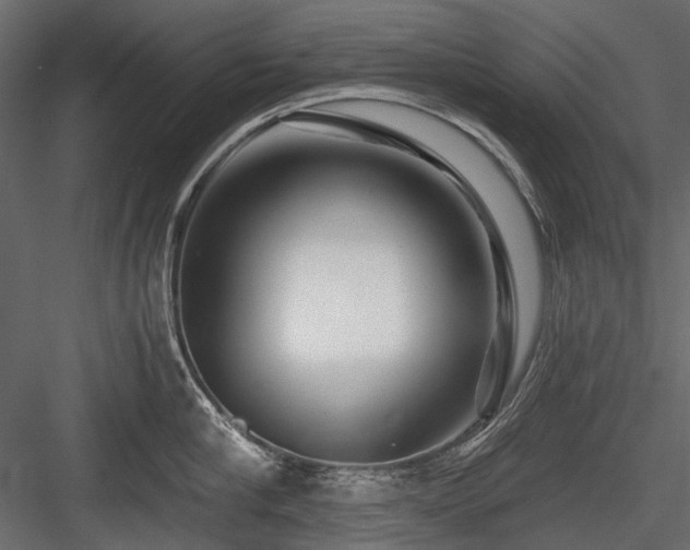 X0000084550910200702231201