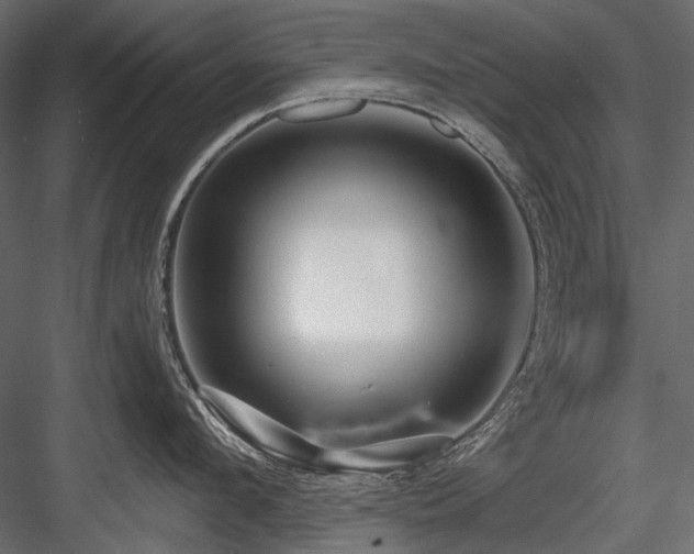 X0000084550912200702231201