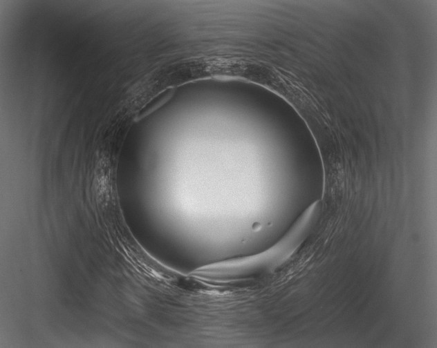 X0000084550914200702231200