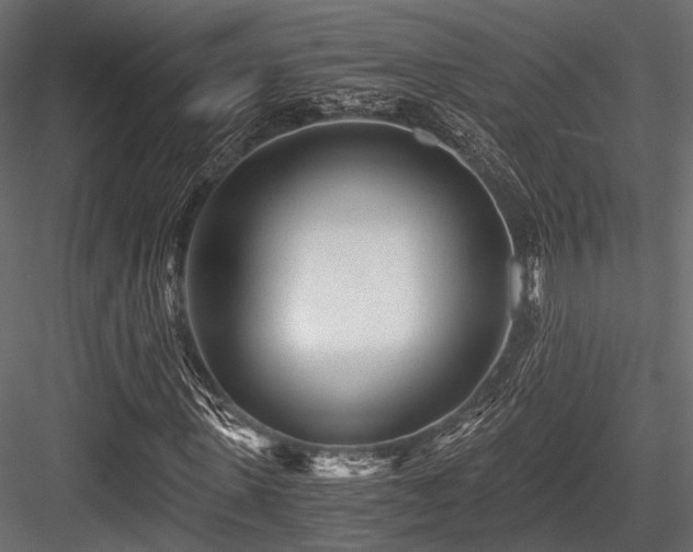 X0000084550915200702231200