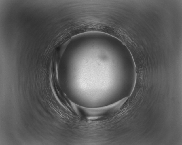 X0000084550916200702231200