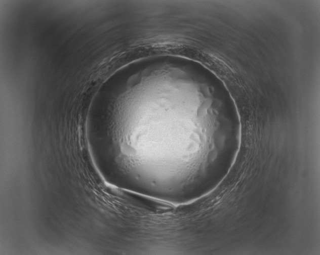 X0000084550917200702231200