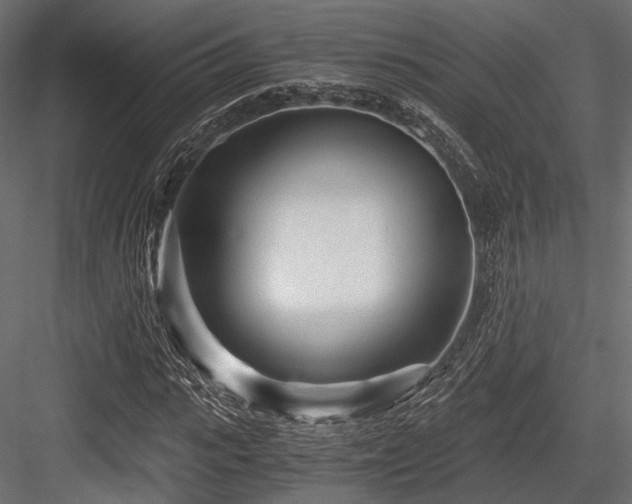 X0000084550919200702231201
