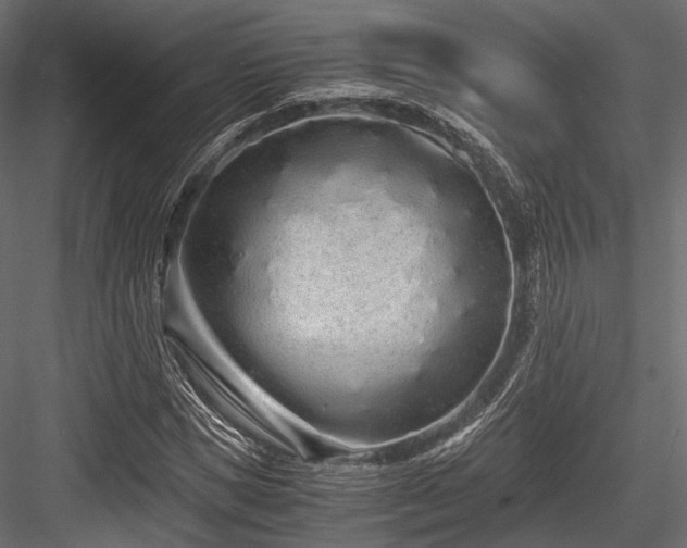 X0000084550921200702231201