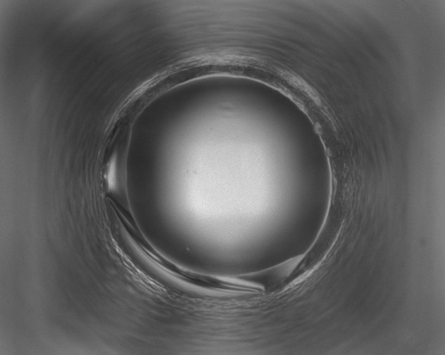 X0000084550922200702231201