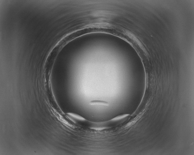 X0000084550923200702231201