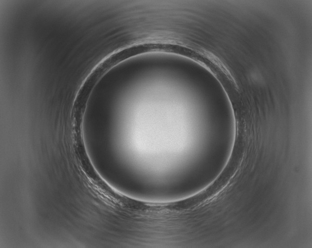 X0000084550926200702231201