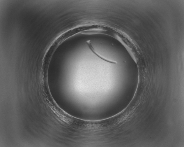 X0000084550927200702231201