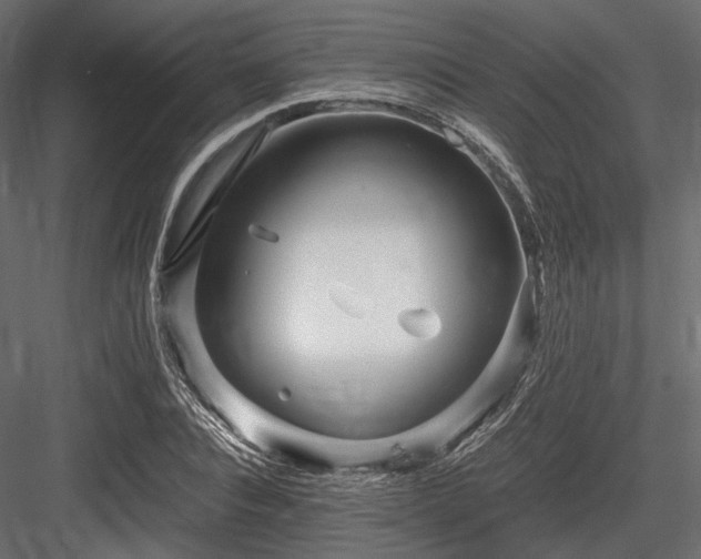 X0000084550928200702231201