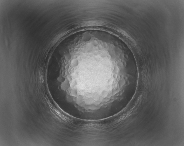 X0000084550929200702231201