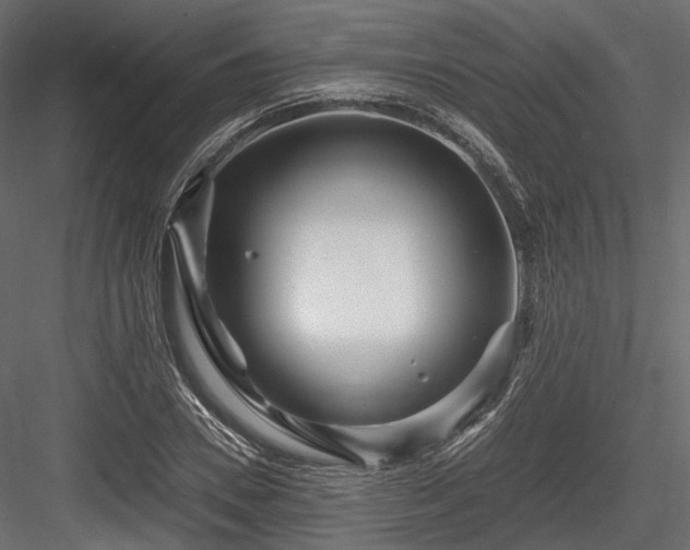X0000084550930200702231201