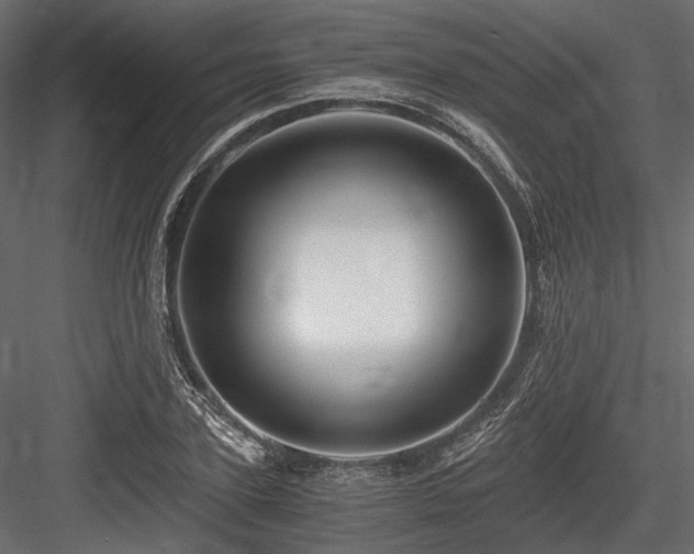 X0000084550931200702231201