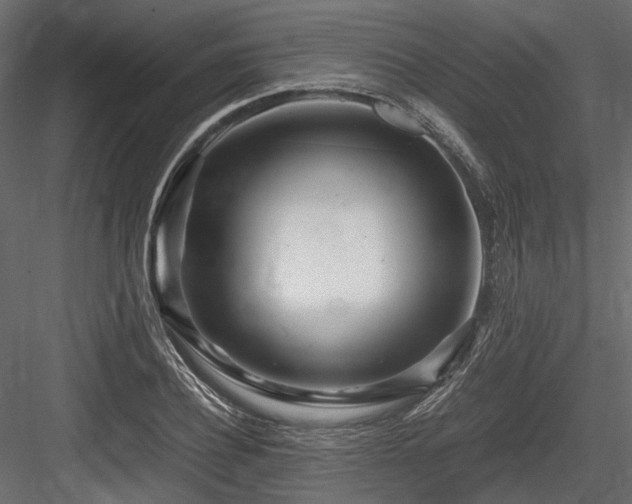 X0000084550932200702231201
